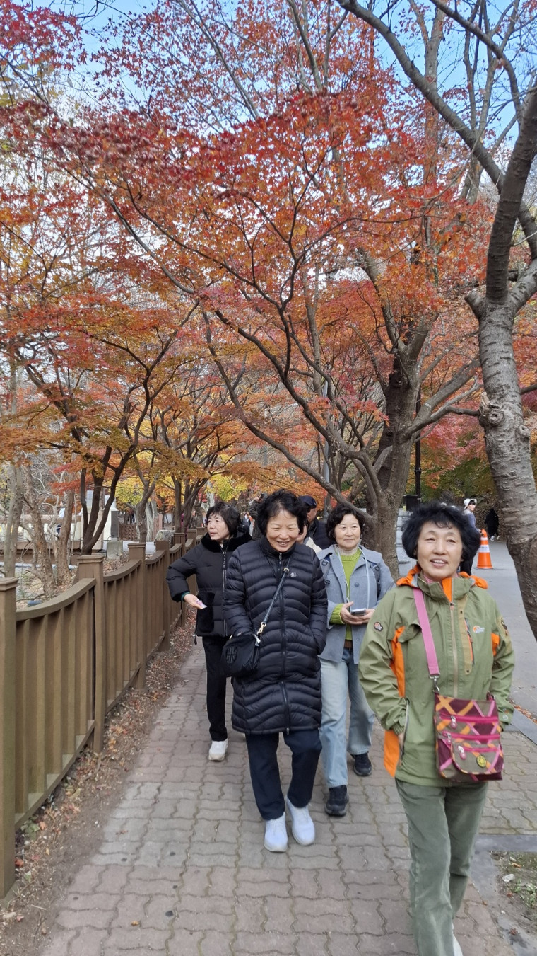 d08c77243e8516de2e234cf0c564117f_1764128