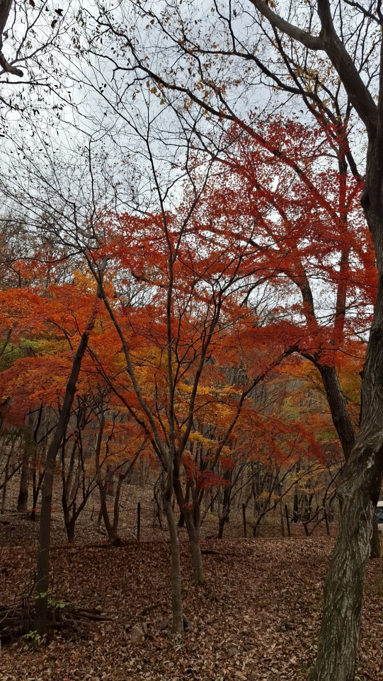 d08c77243e8516de2e234cf0c564117f_1764128