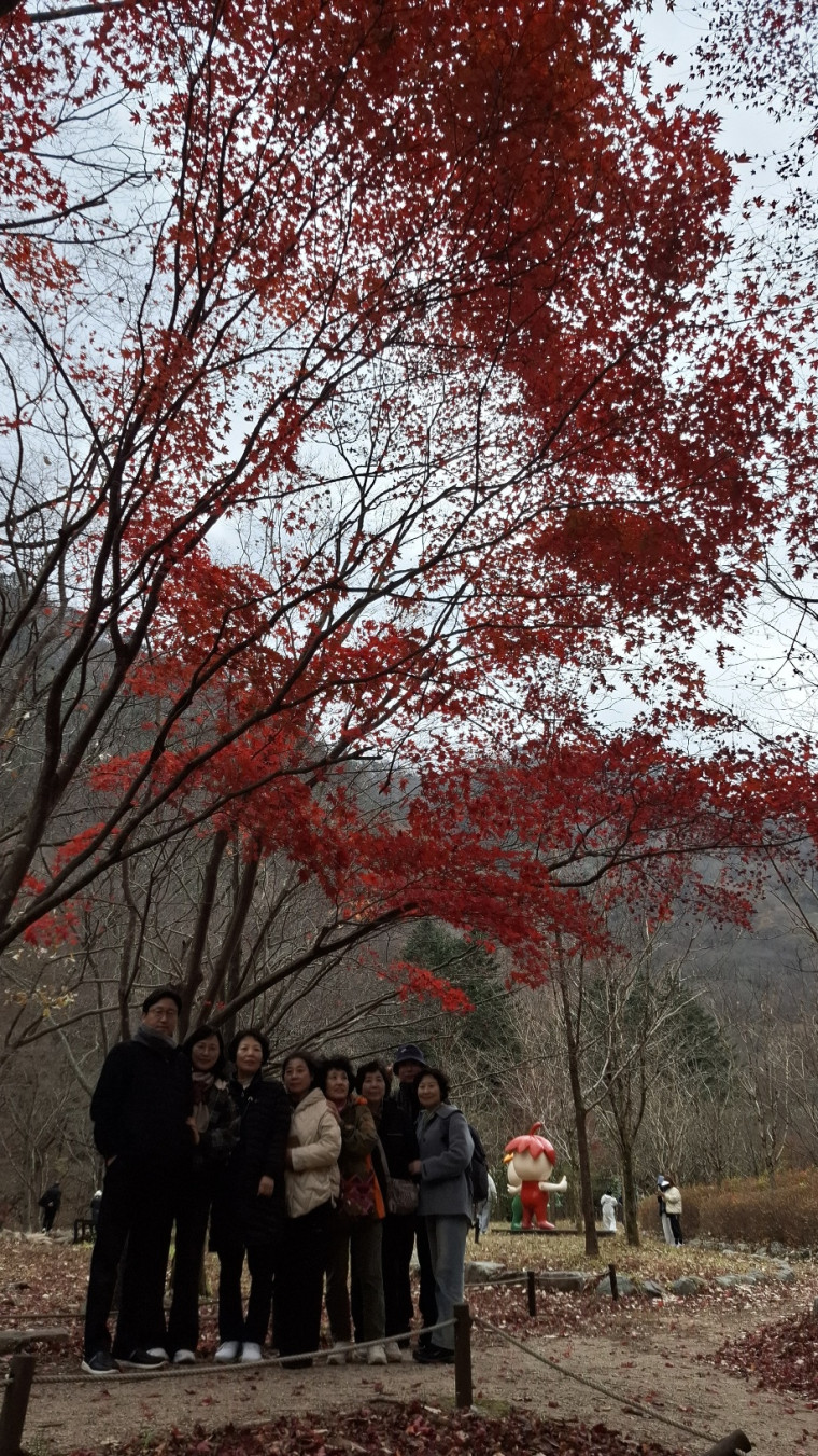 d08c77243e8516de2e234cf0c564117f_1764128