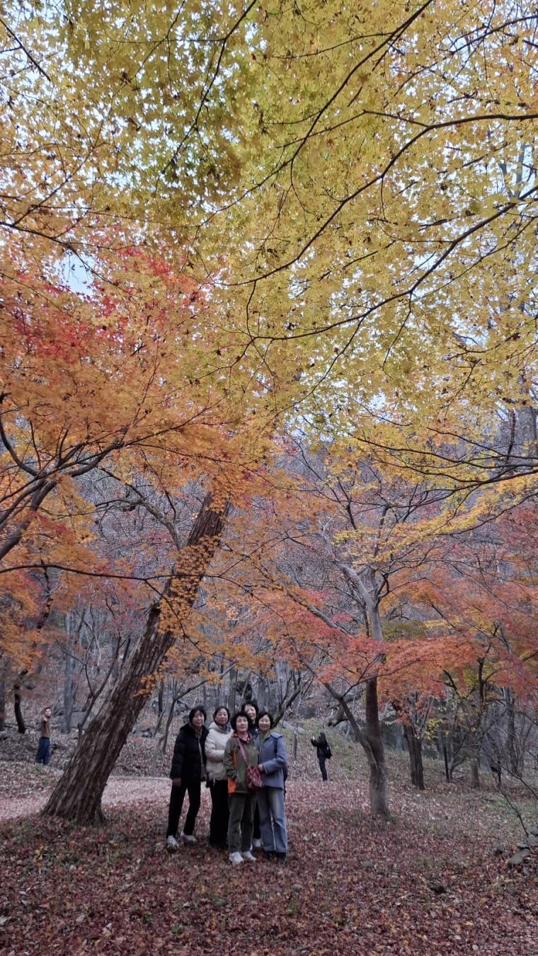 d08c77243e8516de2e234cf0c564117f_1764128