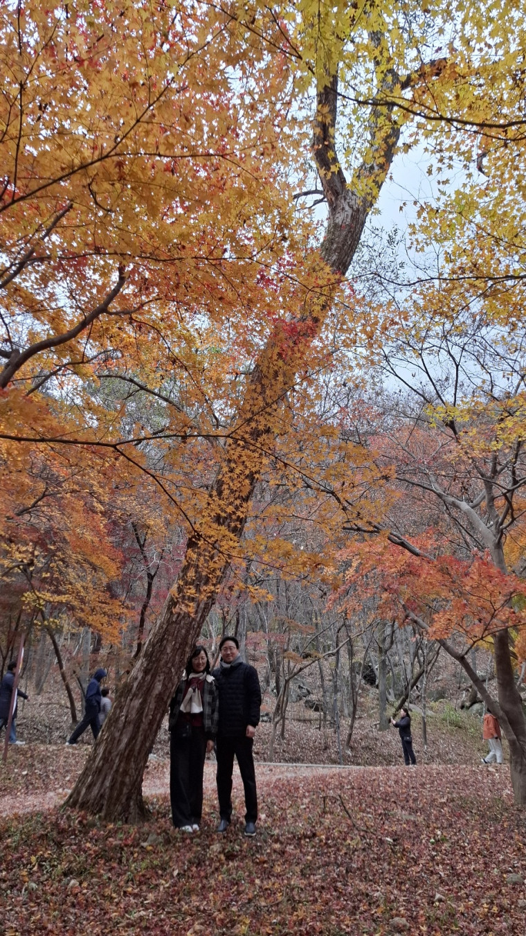 d08c77243e8516de2e234cf0c564117f_1764128