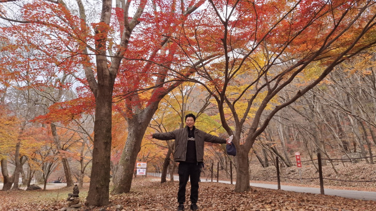 d08c77243e8516de2e234cf0c564117f_1764128