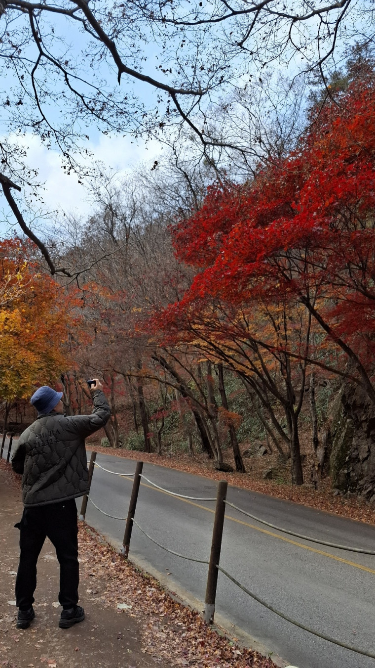 d08c77243e8516de2e234cf0c564117f_1764128